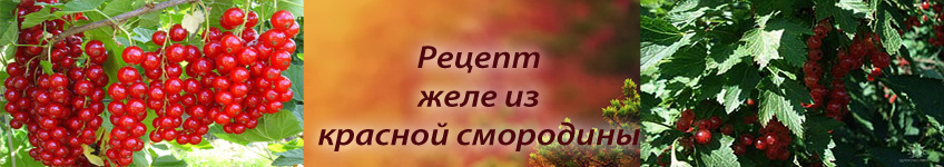 Рецепт желе из красной смородины